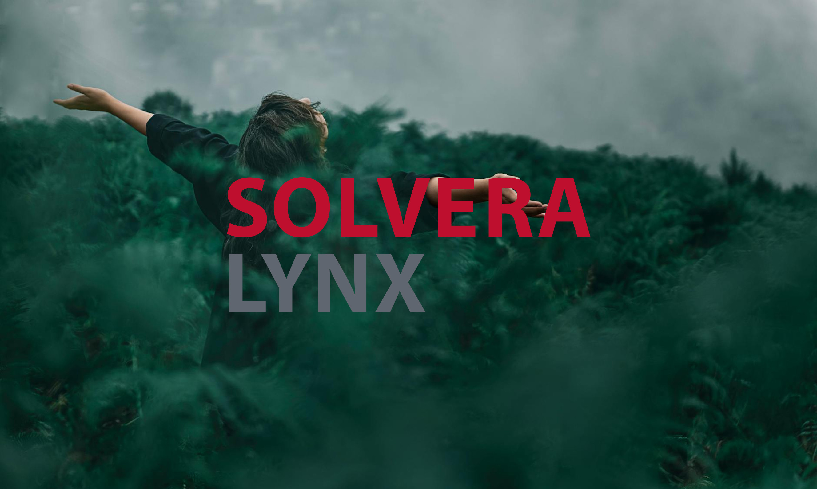 A comprehensive renewal of market presence leading to new successes